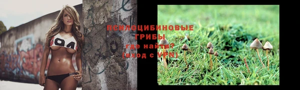 Альфа ПВП Баксан