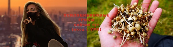 молекула духа Балабаново
